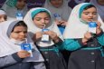 شیر در مدارس